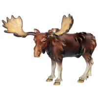Moose - elk