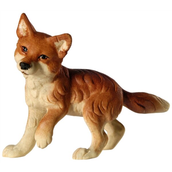 Fox puppy-paw up