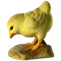 Chick pecking