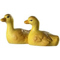 Chickenducks in two
