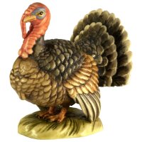 Turkey kock