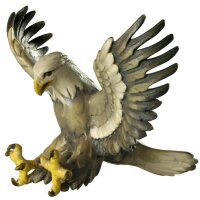 Aquila in volo