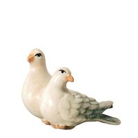 A pair of dove