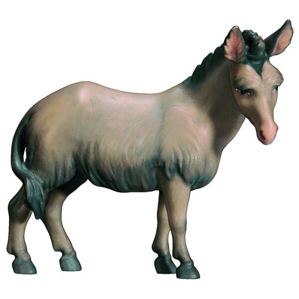 Donkey oriental