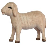 A.Sheep