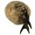 nido di rondini - naturale - 1,5 cm