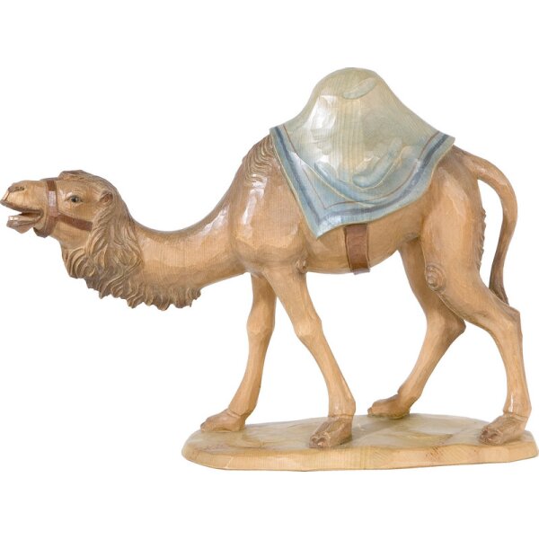 Kamel