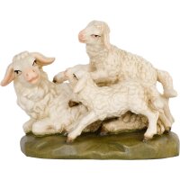 Sheep with Lambs