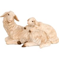 Pecora sdraiata con agnello