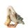 Oca con pulcino - color - 11 cm