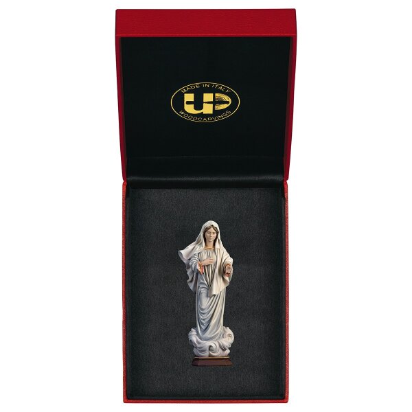 Our Lady of Medjugorje + Case Exclusive