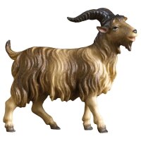 UL He-Goat