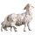 SH Sheep with lamb at it´s back