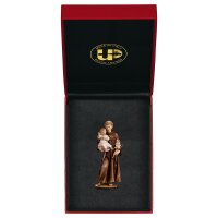St. Anthony of Padova + Case Exclusive
