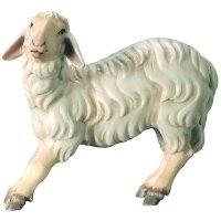 Schaf sträubend