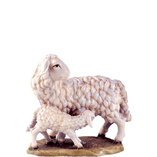 Sheep with lamb B.K.