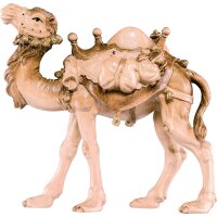 Camel B.K.