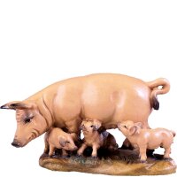 Group of pigs D.K.