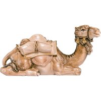 Camel lying H.K.