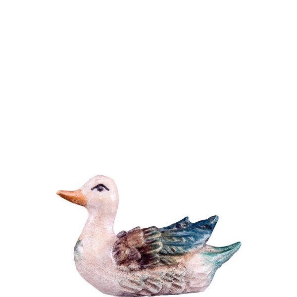 Duck T.K. white