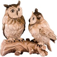 Group of owls