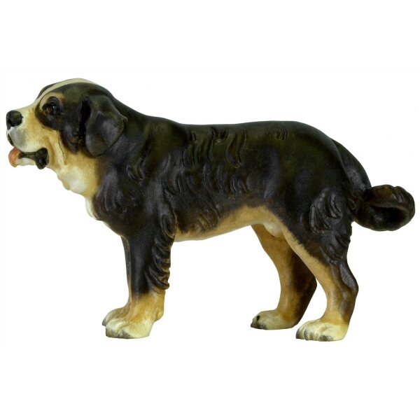 Berner Sennenhund - lasiert - 7,8 cm (17-20)