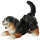 Berner Sennenhund Welpe - lasiert - 2,8 cm (10-11)