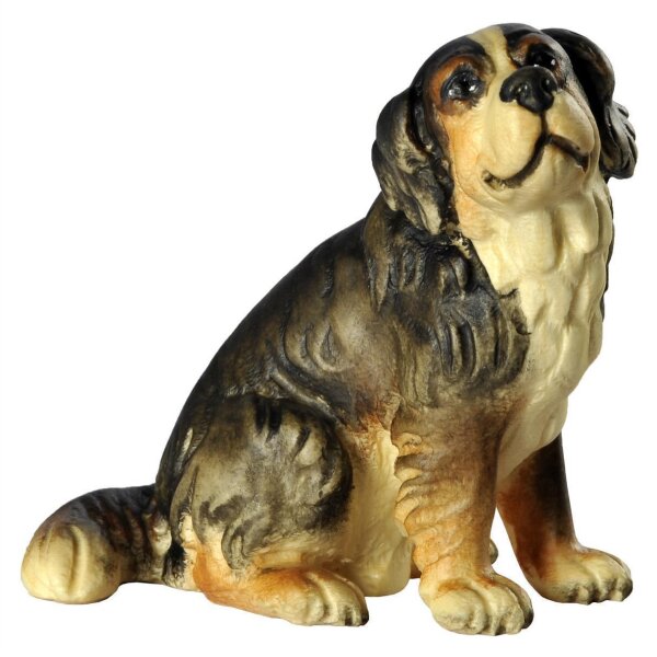 Berner Sennenhund sitzend - lasiert - 4,0 cm (10-11)