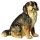 Berner Sennenhund sitzend - lasiert - 4,0 cm (10-11)