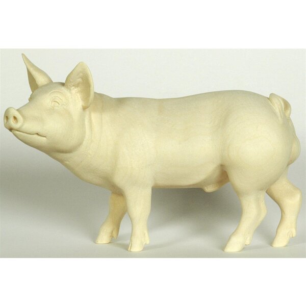 Eber (Schwein) - natur - 4,9 cm (09-11)