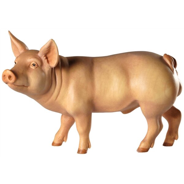 Eber (Schwein) - lasiert - 6,5 cm (12-13)