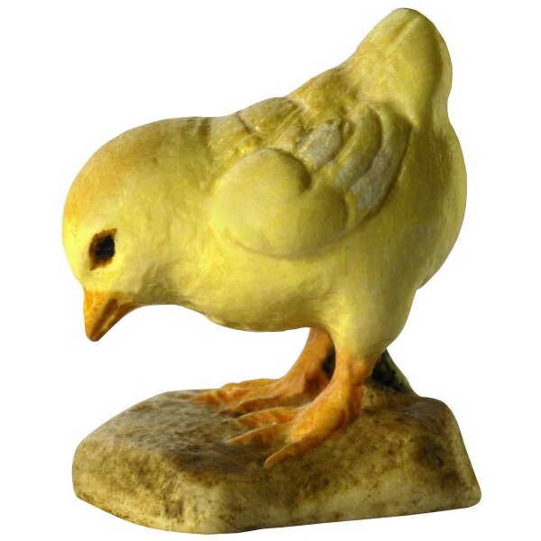 Chick pecking - colored - 0,6"