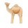 cammello in piedi modern art
