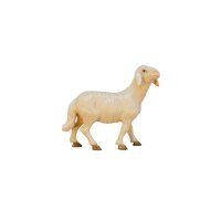 Sheep standing