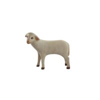 Schaf stehend