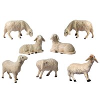 3 pecore
