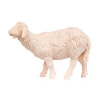 Standing black and white sheep left - color - 6,3 inch