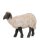 Standing black and white sheep left - color - 6,3 inch