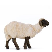 Standing black and white sheep - color - 6,3 inch