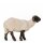 Standing black and white sheep - color - 6,3 inch