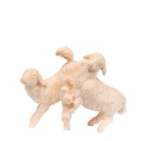 Pecorelle su siepe - oro zecchino - 48 cm