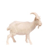 Goat - old true gold colored - 19 inch