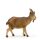 Goat - old true gold colored - 19 inch