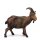 Goat - old true gold colored - 19 inch