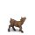 Little goat - old true gold colored - 19 inch