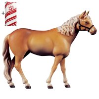 Cavallo Avelignese + Box regalo
