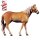 Cavallo Avelignese + Box regalo