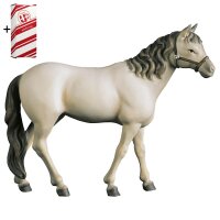 Horse white + Gift box
