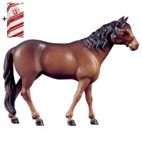Cavallo marrone + Box regalo