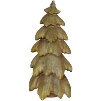 fir tree in wood